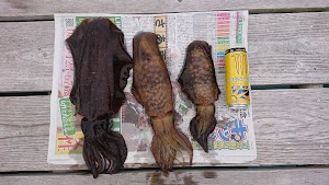 安丸渡船 place picture