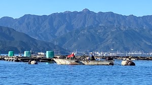 カセ釣り あら丸 place picture